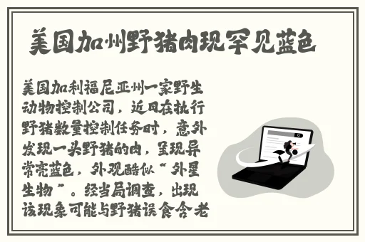 四虎影视免费大全